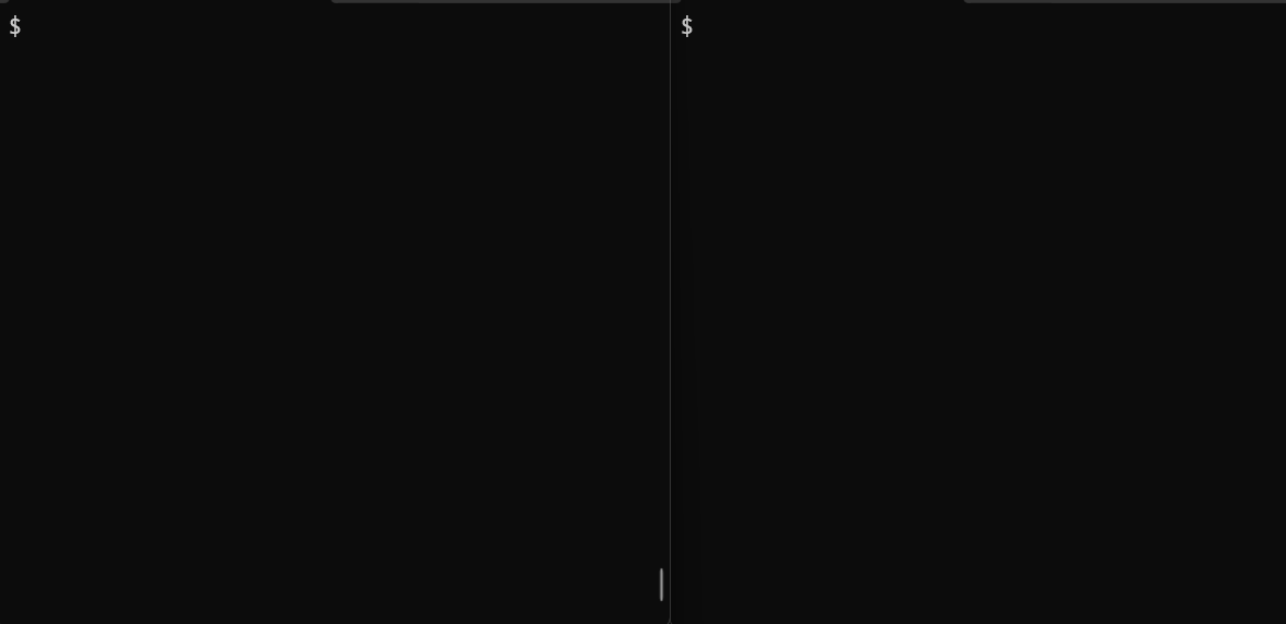 Terminal Demo